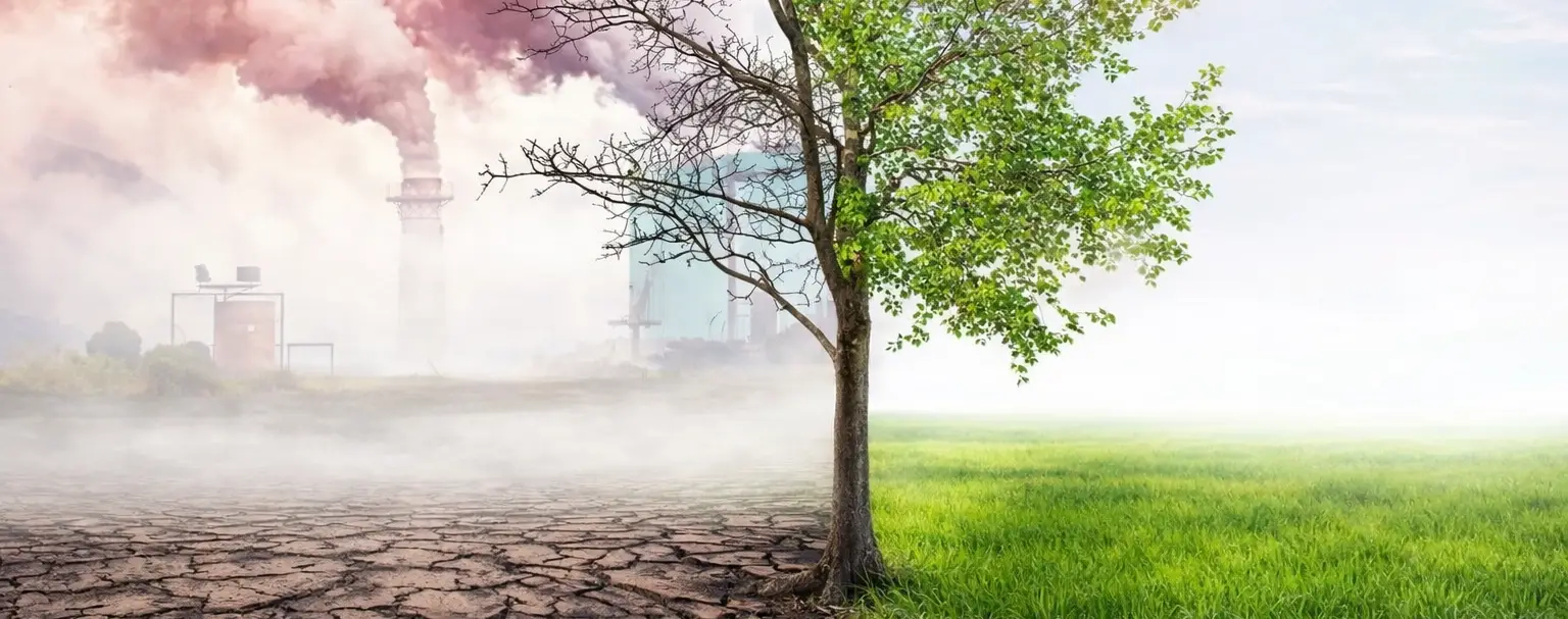 Greenwashing: dalle parole ai fatti